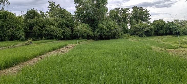 Rooted Deeper: Farm Operation