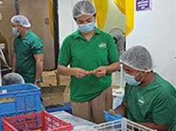 Sachet Filling